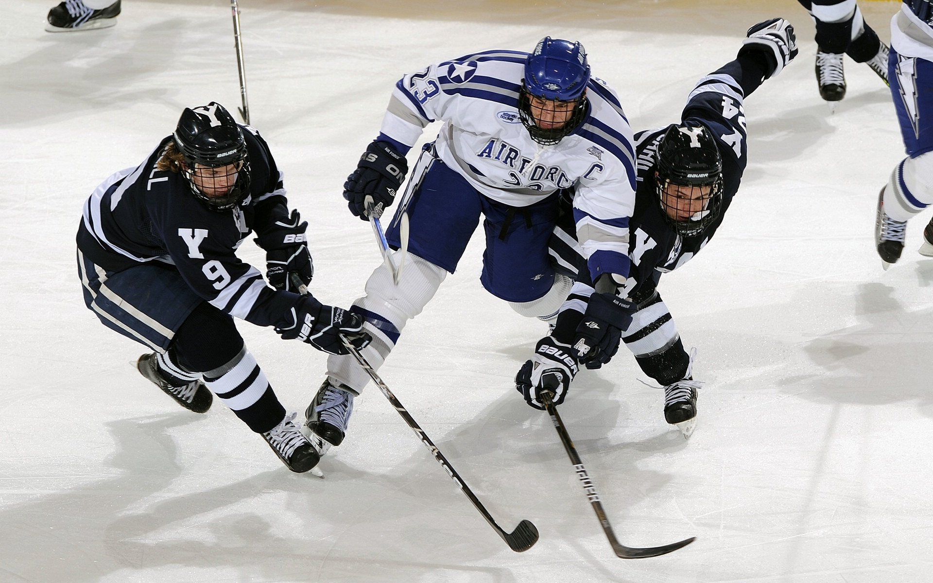 威尔士青少年橄榄球的崛起，能否挑战强队地位？，威尔士ncaa